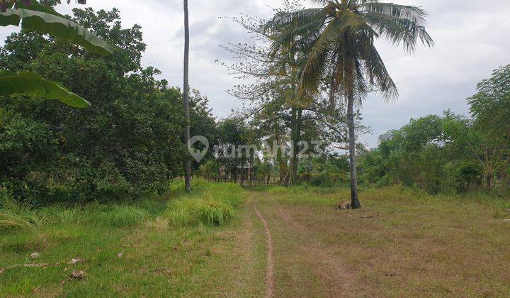 Dijual Tanah Pinggir Pantai 3 Hektare dekat Pantai Impos  2