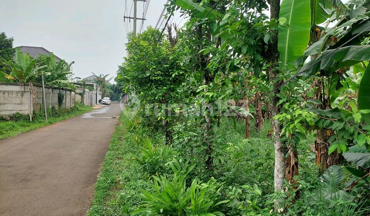 Jual Tanah Dibawah NJOP Dekat Tol dan LRT Jual Tanah Dibawah NJOP Dekat Tol dan LRT