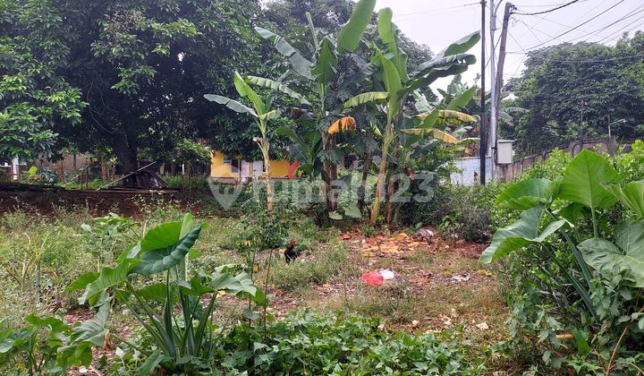 Tanah Dibawah Njop Leuwinanggung Cibubur Tapos Depok Siap Bangun Tanah Dibawah Njop Leuwinanggung Cibubur Tapos Depok Siap Bangun