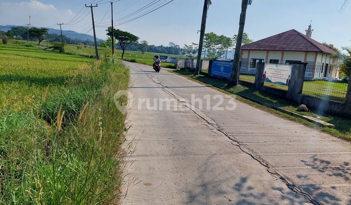 Tanah Pinggir Jalan Mekarwangi Cariu Arah Puncak Dua Gunung Batu