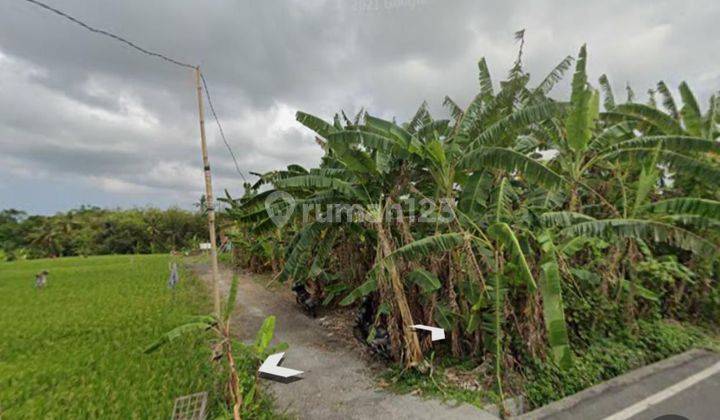 Tanah di Canggu Kuta Utara, Badung SHM 9,5 are 2