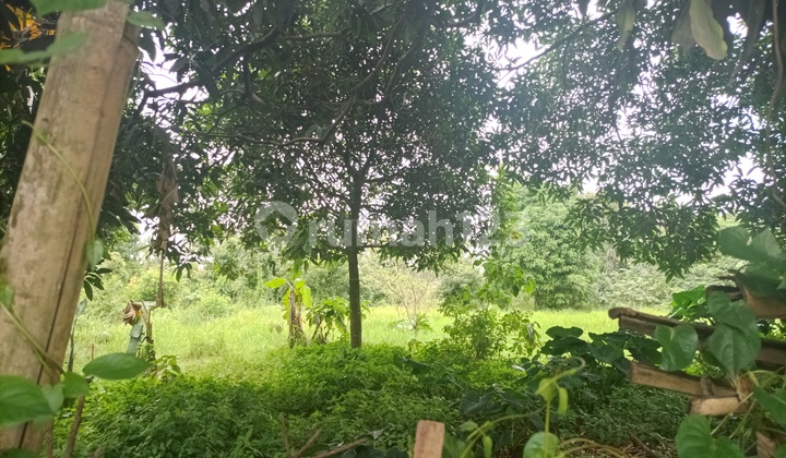 Tanah darat pinggir jalan utama 