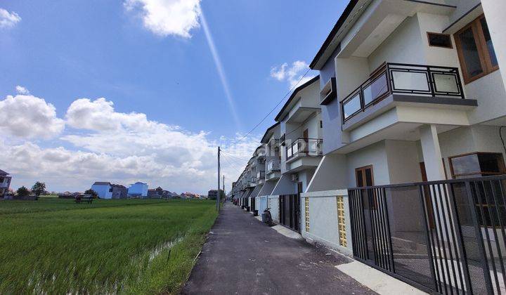 For Rent Rumah Baru View Sawah di Pesanggaran Denpasar 1