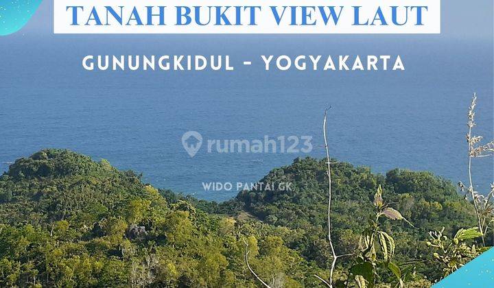 Dijual Tanah Pantai Bukit View Laut Gunungkidul Yogyakarta 1