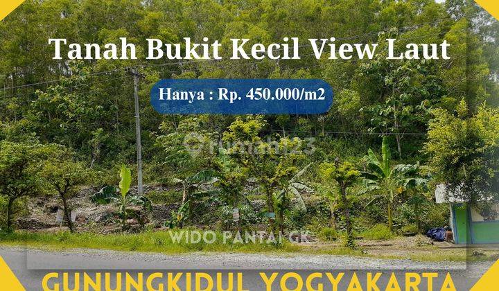 Dijual Tanah Pantai Bukit Pinggir Jalan Gunungkidul Yogyakarta  1