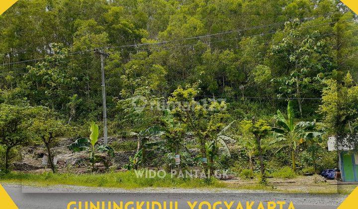 Dijual Tanah Pantai Bukit Pinggir Jalan Gunungkidul Yogyakarta  2