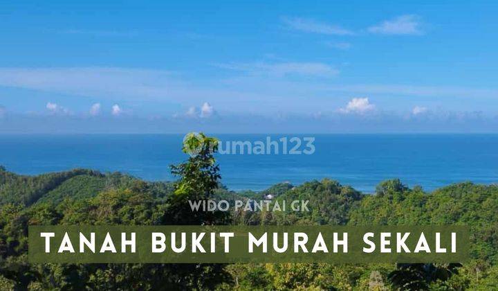 Dijual Tanah Bukit Terasiring Datar Murah Gunungkidul Yogyakarta 2