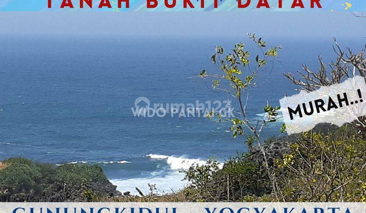 Jual Tanah Pantai Bukit Datar, Murah, Pantai Gunungkidul Yogyakarta 1