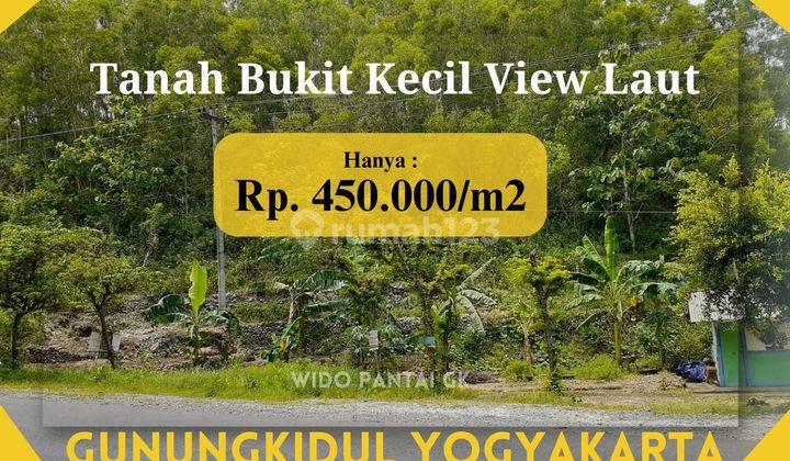 Dijual Tanah Pantai Bukit Pinggir Jalan Raya Pantai Yogyakarta 1