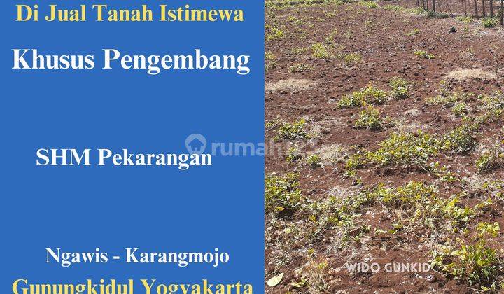 Dijual Tanah Murah Khusus Pengembang Gunungkidul Yogyakarta 1