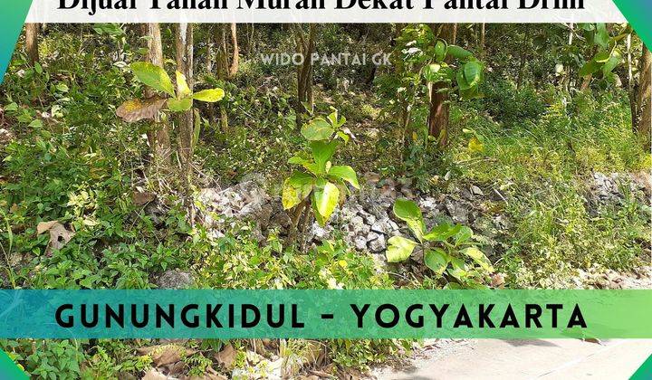 Dijual Tanah Pantai Dekat Jjls Dan Pantai Drini Yogyakarta 1