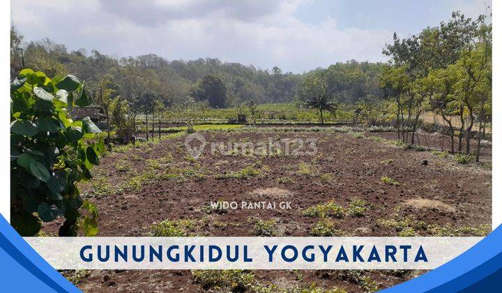 Dijual Tanah Datar Dekat Pantai Slili Dan Krakal Gunkid Yogyakarta 2