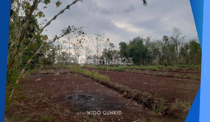 Dijual Tanah Murah Khusus Pengembang Gunungkidul Yogyakarta 2