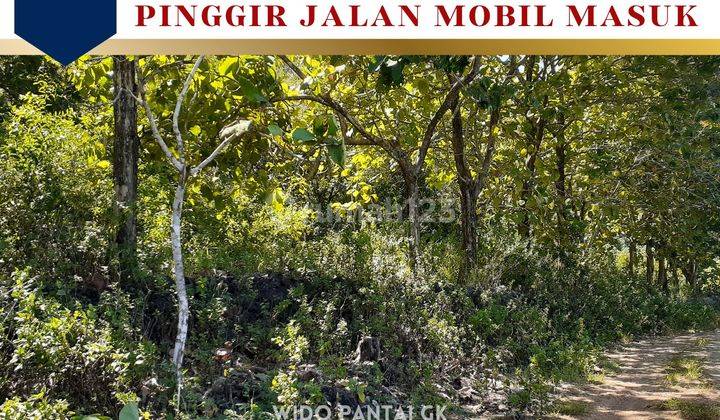 Jual Tanah Pantai Dekat Jjls Zona Ring 1 Pantai Gunungkidul Yogyakarta 2