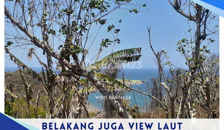 Jual Tanah Pantai Datar View Laut Murah Gunungkidul Yogyakarta 2