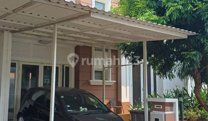 Murah Dijual Rumah Rapi di Cluster Flamingo, Spring, Gading Serpong