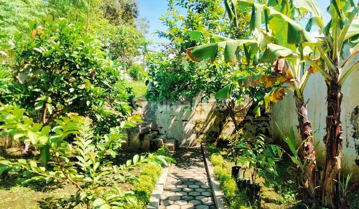 RUMAH BAGUS KOKOH DAN MODERN TANAH LUAS DEPAN ROW LEBAR STRATEGIS 7