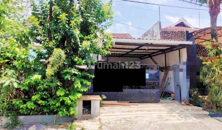 RUMAH BAGUS MURAH BARU RENOVASI DI SUHAT KOTA MALANG DEKAT UB 1