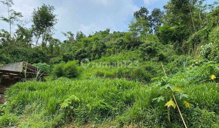 TANAH LUAS COCOK UTK USAHA SDH SHM DI DAMPIT KAB MALANG 2