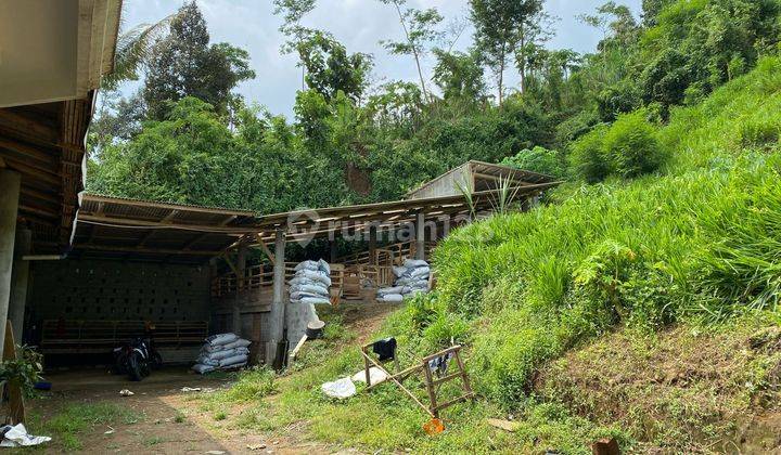 TANAH LUAS COCOK UTK USAHA SDH SHM DI DAMPIT KAB MALANG 2