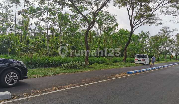 Sell Fast & Cheap Land on Main Road Axis Near Malang City Airbase