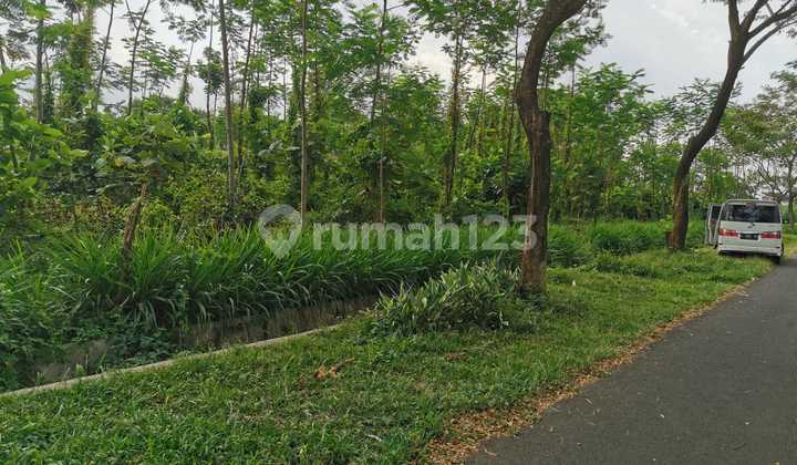 Tanah Murah Di Poros Jalan Lanud Abdul Rahman Saleh 