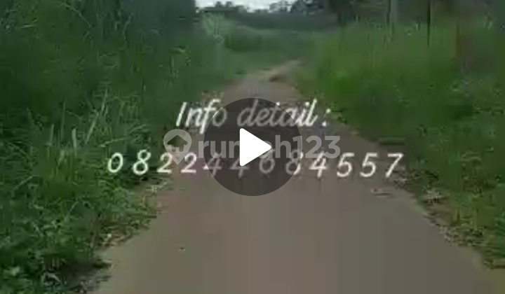 Jual Cepat Tanahperkebunan Cengkeh & Durian Ditumpang Poros Jldesa Jual Cepat Tanahperkebunan Cengkeh & Durian Ditumpang Poros Jldesa