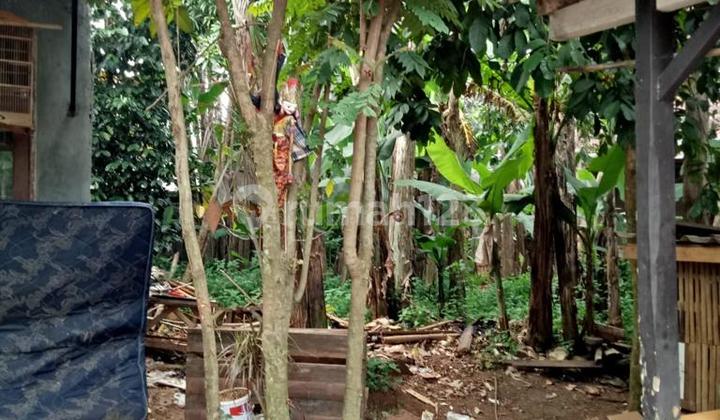 Jual Cepat Tanah Cocok Buat Kontrakan Dekat Unpam Pamulang