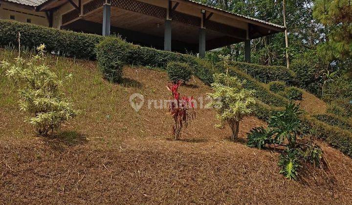 Villa Cantik Di Cibulan Cisarua Puncak Bogor Private Swimming Pool SHM 2