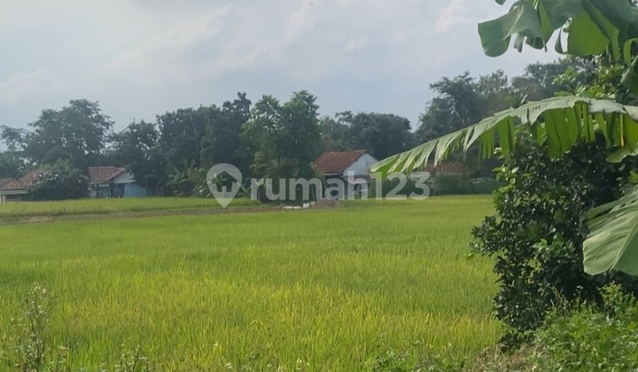 Murah Tanah Kavling Shm 935 M Di Legok Tangerang Lokasi Strategis Murah Tanah Kavling Shm 935 M Di Legok Tangerang Lokasi Strategis