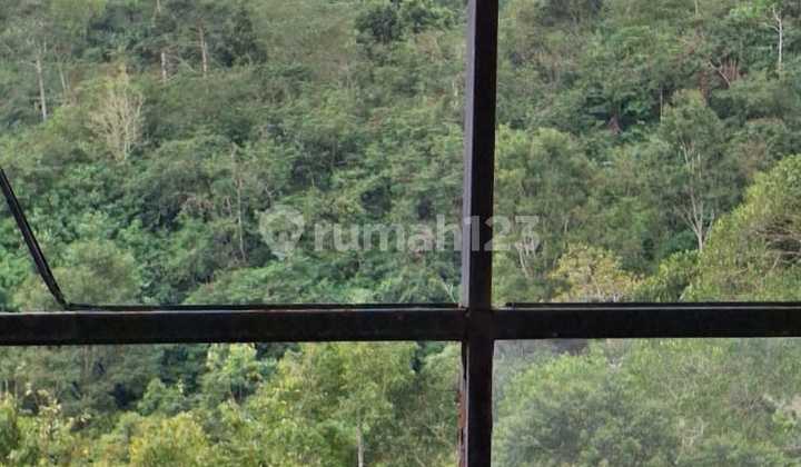 Dijual Tanah Glamping View Jungle di Munduk Bali