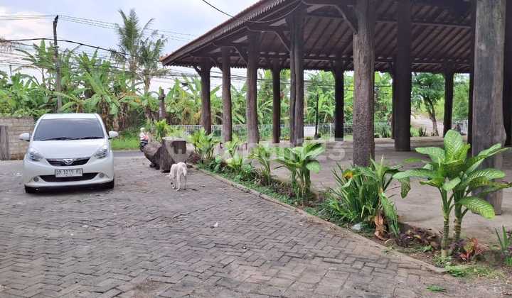 For Sale Land Main Road Bypass Land Loy Bali For Sale Land Main Road Bypass Land Loy Bali