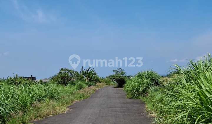 For Sale Rice Field with Beach View in Sanur Bali