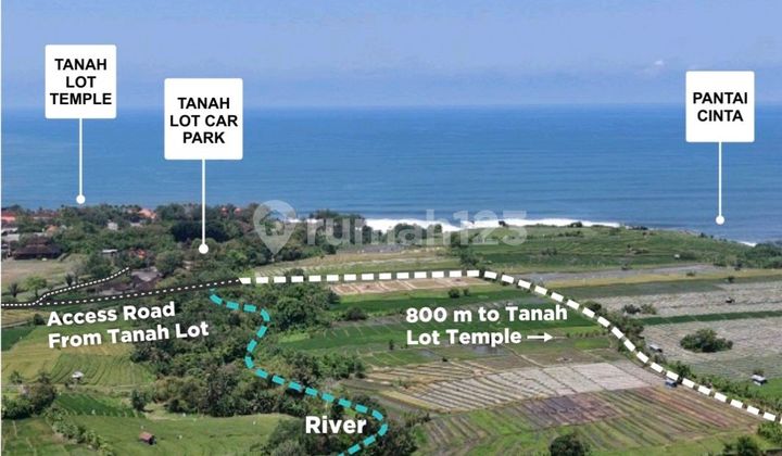 Dijual Tanah Kavling 300 Meter Ke Pantai Surfing Kedungu Bali