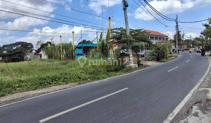 Disewakan Tanah Komersil Di Padang Linjong Canggu 2