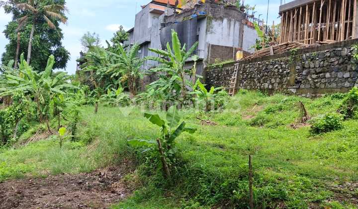For Sale Land River View Forest Batubulan Bali