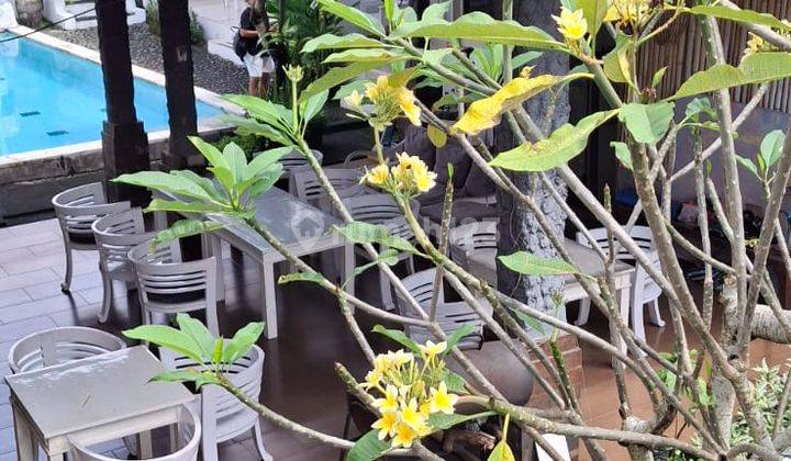Sublease 18 Kamar Homestay Running Tibubening Canggu 1