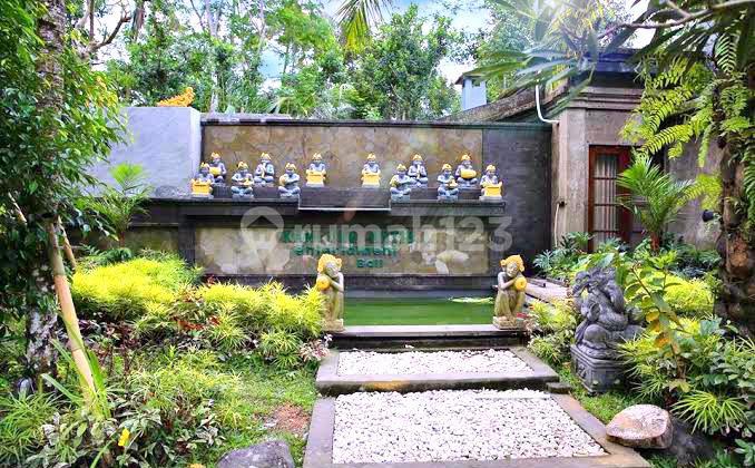 Dijual Resort View Tebing Dan Sungai Di Pupuan Tegalalang Bali
