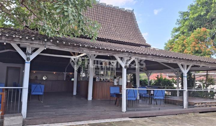 Disewakan Tanah Bonus Pool dan Resto di Tibubening Canggu Bali