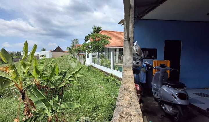 Land for Rent with Rice Field View, Tibubening, Canggu