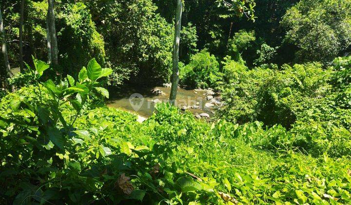 For Sale Beautiful Land With River View On Nyanyi Beach Tabanan Bali 2