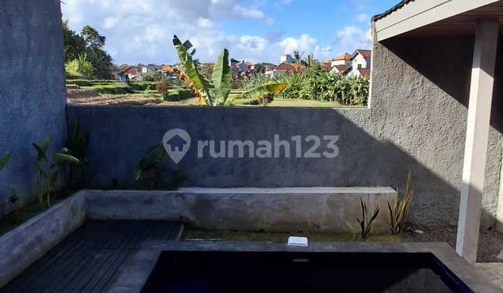 Take Over Sewa 20 Villa Kompleks Dan Homestay Di Tibubening Kuta Utara