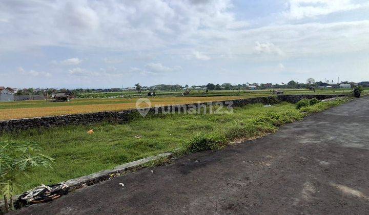 For Sale Residential Commercial Land View Rice Fields In Kerobokan Bali 2