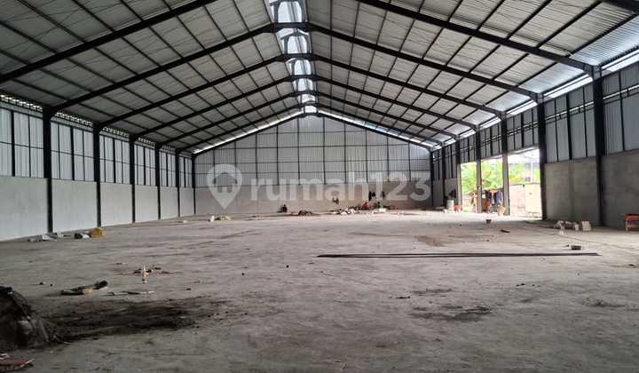 Disewakan Gudang Besar Bangunan Baru Mahendradata Denbar Bali Disewakan Gudang Besar Bangunan Baru Mahendradata Denbar Bali