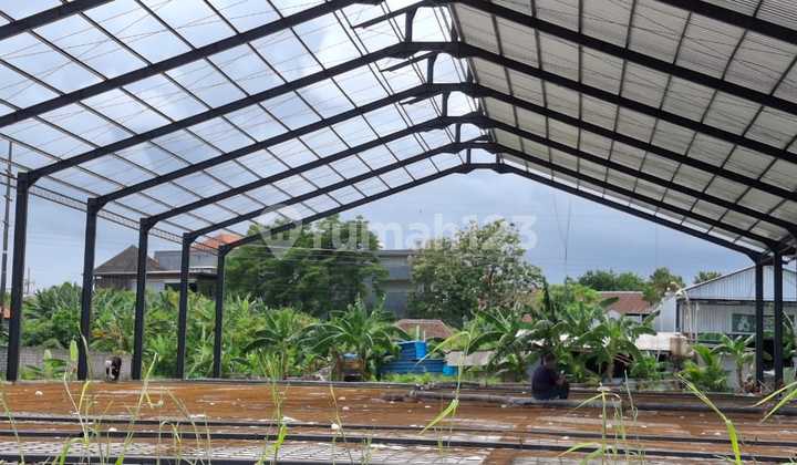 For Rent Newly Built Large Warehouse Padang Sambian Denpasar For Rent Newly Built Large Warehouse Padang Sambian Denpasar