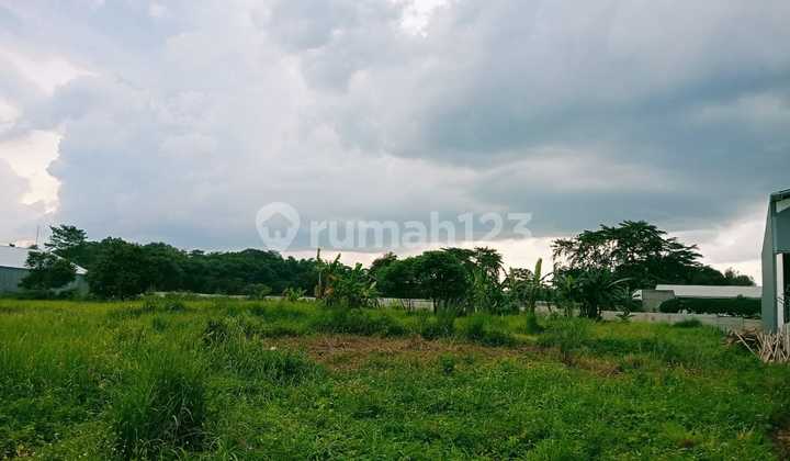 For Sale, Strategically Located Land in Gunung Putri Area, 10 Minutes to Toll Road. For Sale, Strategically Located Land in Gunung Putri Area, 10 Minutes to Toll Road.