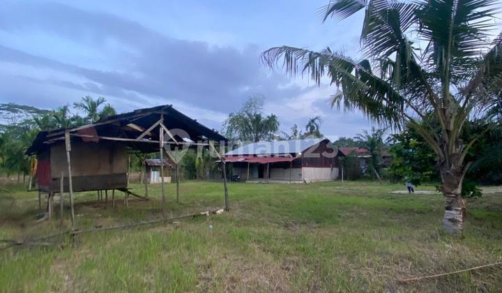TANAH DIJUAL CEPAT - LOKASI STRATEGIS TEPI SUNGAI SIAK TANAH DIJUAL CEPAT - LOKASI STRATEGIS TEPI SUNGAI SIAK