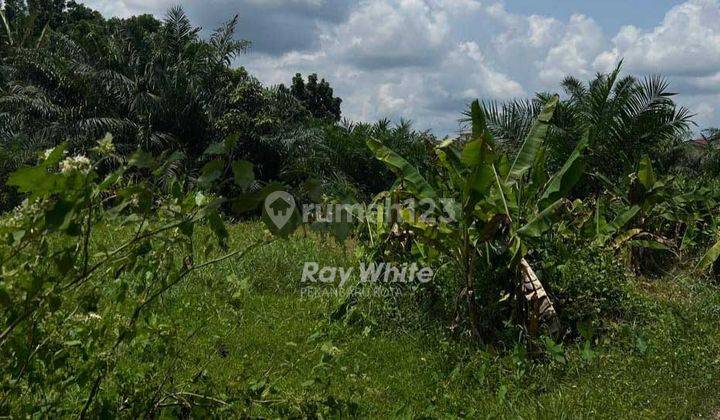 Dijual Cepat Lahan Kosong Lokasi Dekat Ke Harapan Raya 2