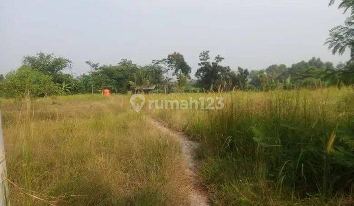 Gudang Mruah 3 Hektar Cikande Rangkas Bitung Banten 2