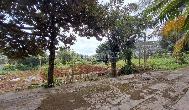 Tanah 500m2 di Cinangka  1